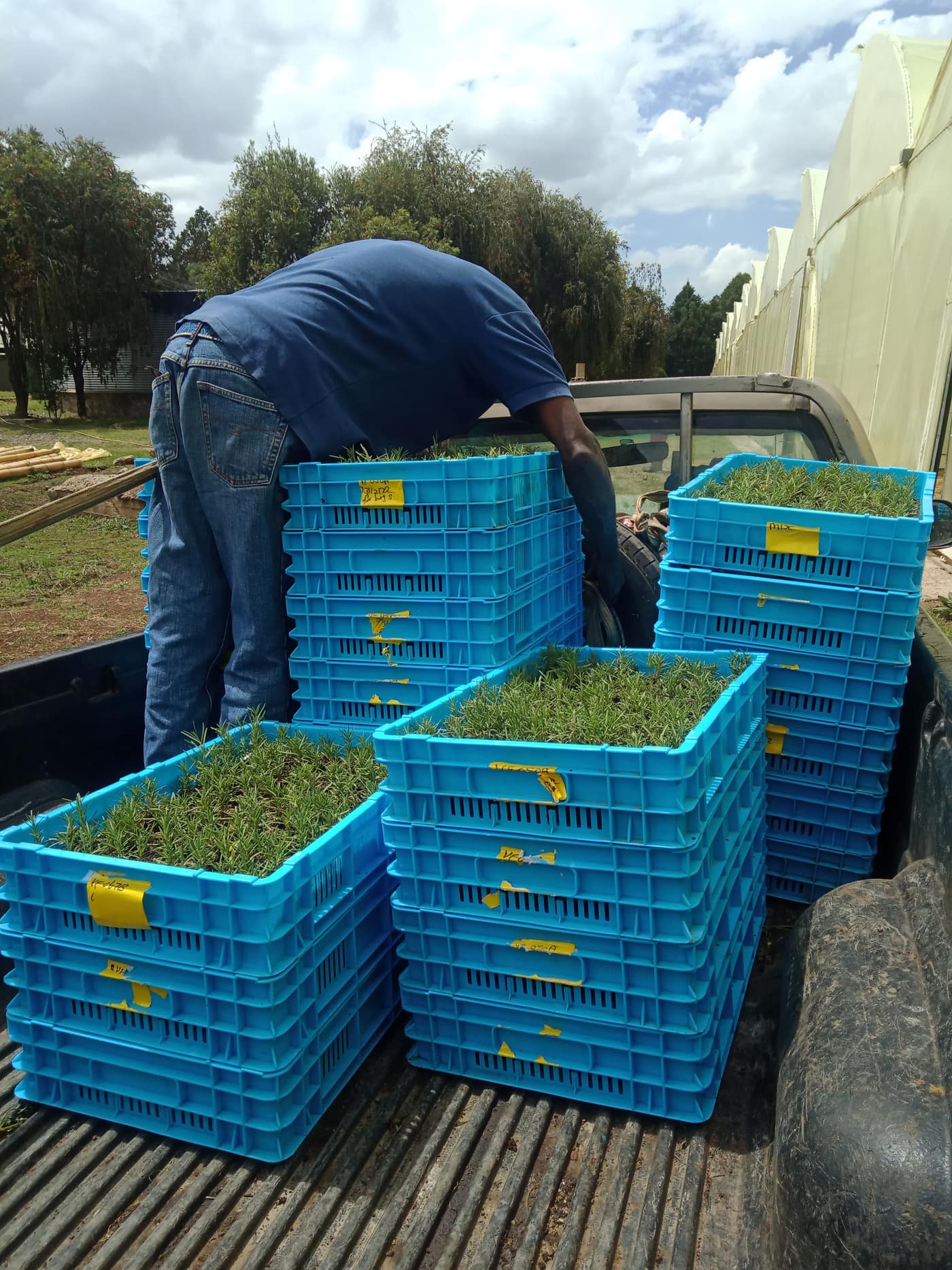 GGG Produce farm and herb photography (66)
