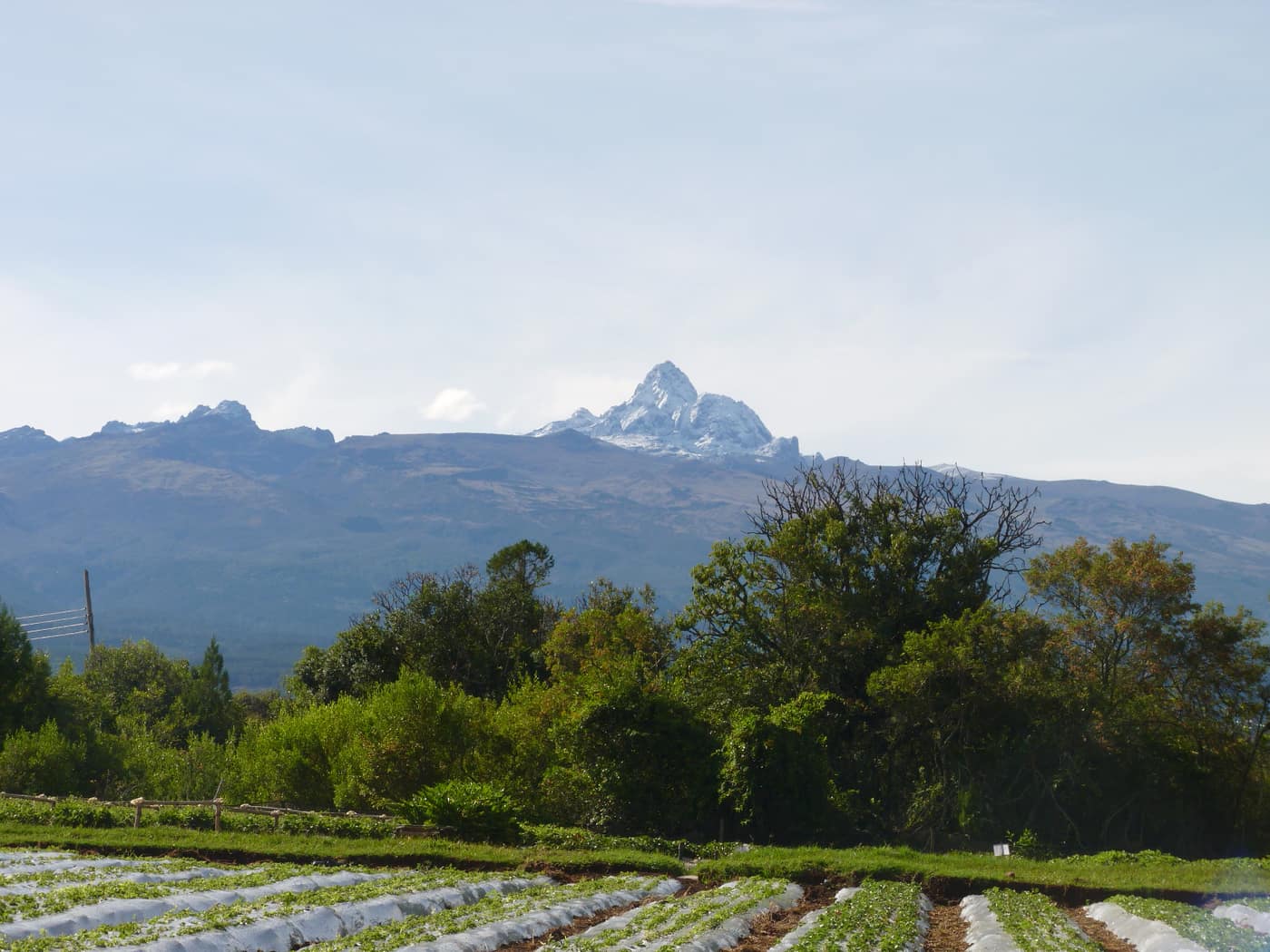 GGG Produce farm and herb photography (143)