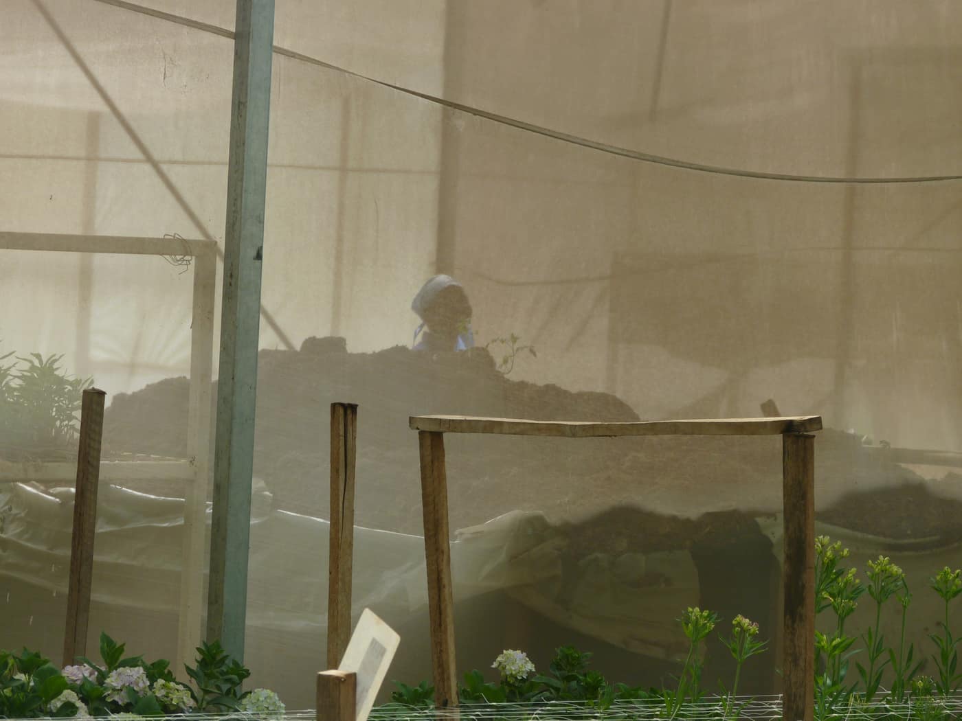 GGG Produce farm and herb photography (203)
