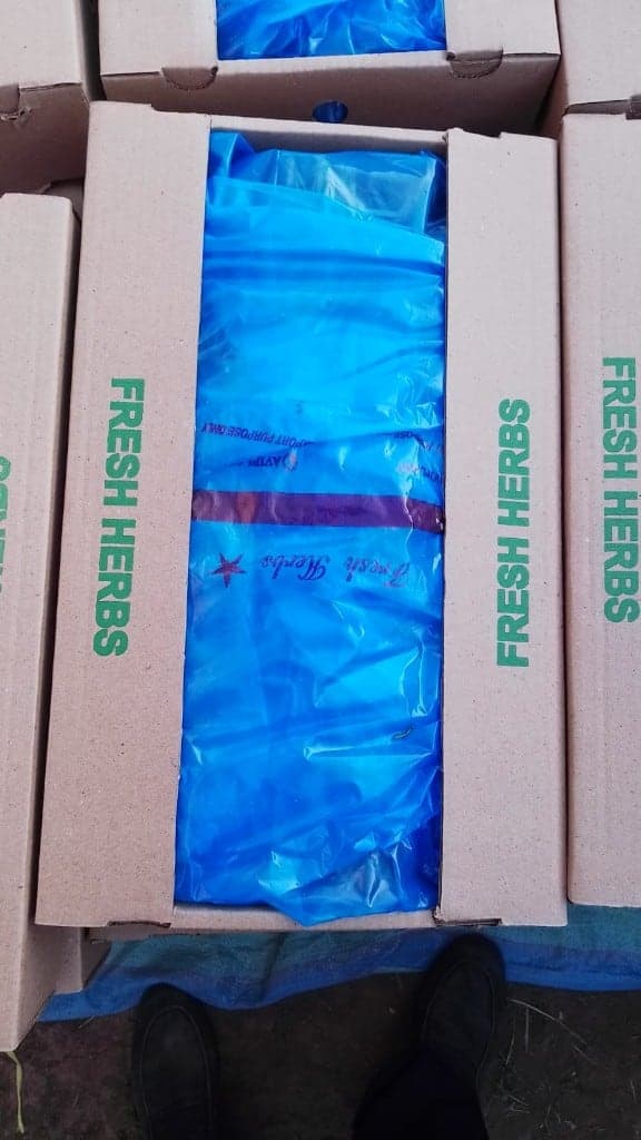 Open Fresh Herbs carton lined with a blue export bag