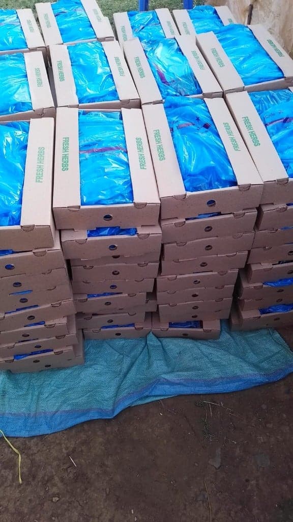 Stacked Fresh Herbs cartons packed in blue liners for shipment