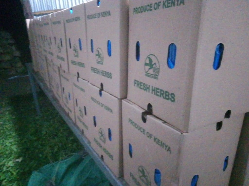 Ventilated Produce of Kenya cartons stacked for fresh herb export