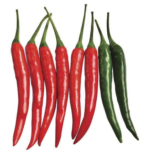 Fresh Demon F1 chillies in red and green on a white background
